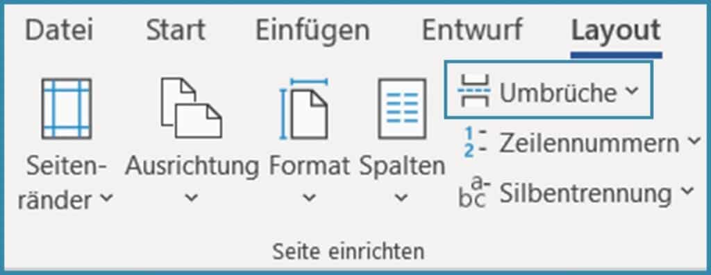 Screenshot zum Einfügen von Umbrüchen in Word