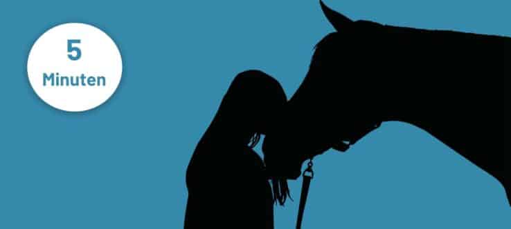 Silhouette eines Mädchens mit Pferd